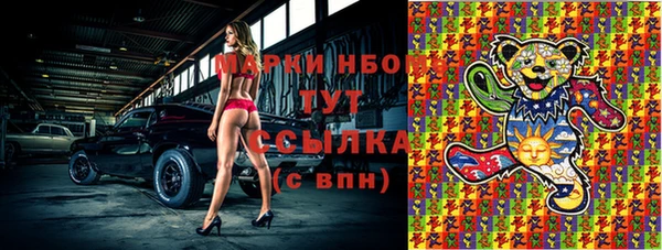 ПСИЛОЦИБИНОВЫЕ ГРИБЫ Арсеньев