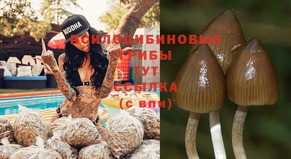 ПСИЛОЦИБИНОВЫЕ ГРИБЫ Арсеньев