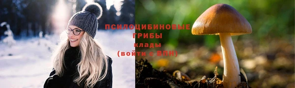 ПСИЛОЦИБИНОВЫЕ ГРИБЫ Арсеньев