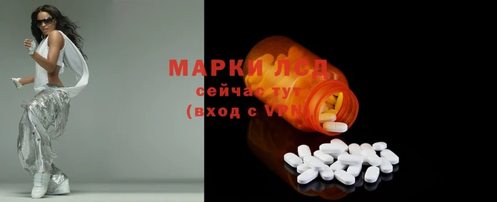ПСИЛОЦИБИНОВЫЕ ГРИБЫ Арсеньев