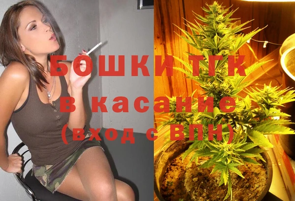 ПСИЛОЦИБИНОВЫЕ ГРИБЫ Арсеньев